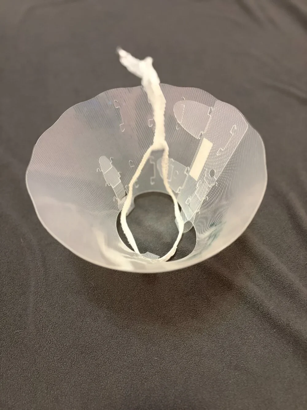 cat cone